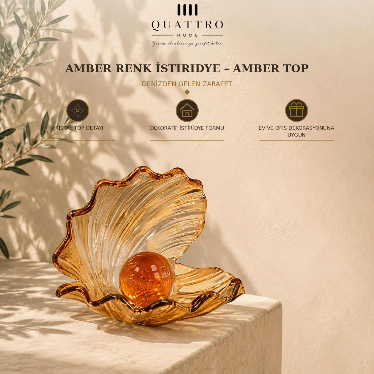 Amber Renk İstiridye - Amber Top