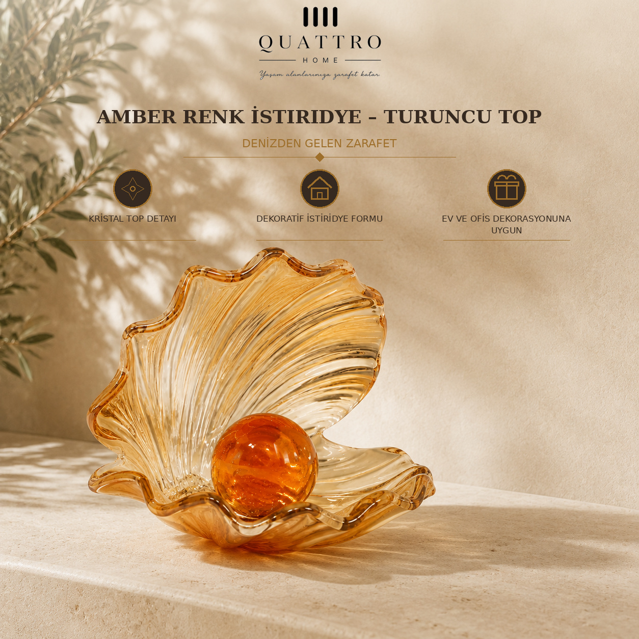 Amber Renk İstiridye - Turuncu Top